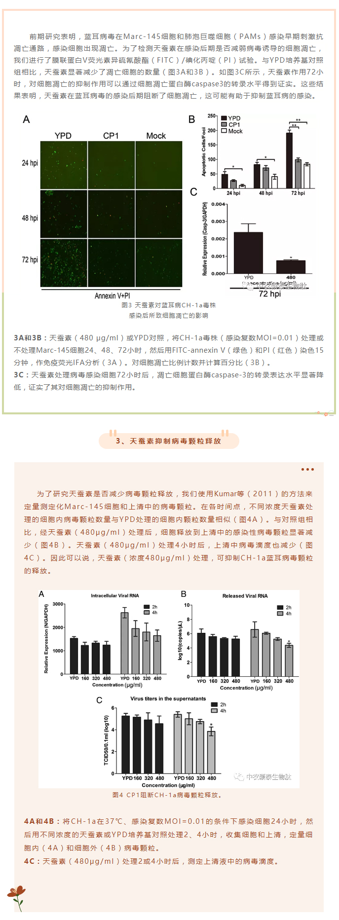 天蚕素抗菌肽抑制猪蓝耳病毒的研究_04