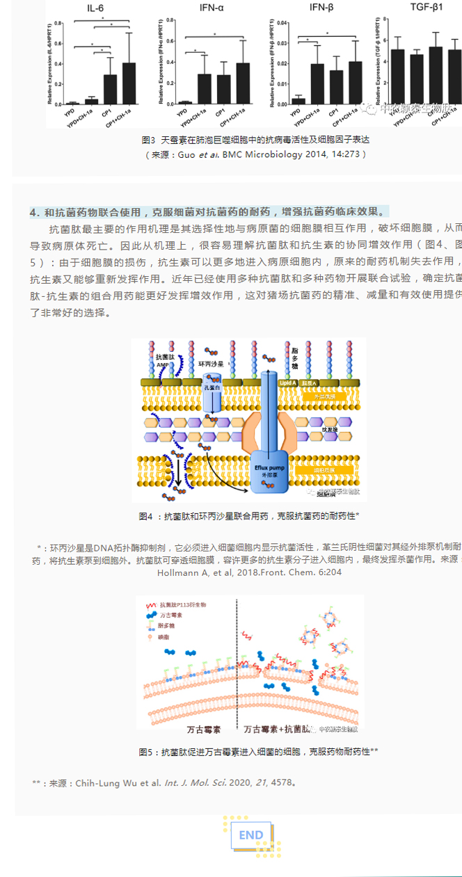 浅谈抗菌肽添加剂在养猪现场的应用_03